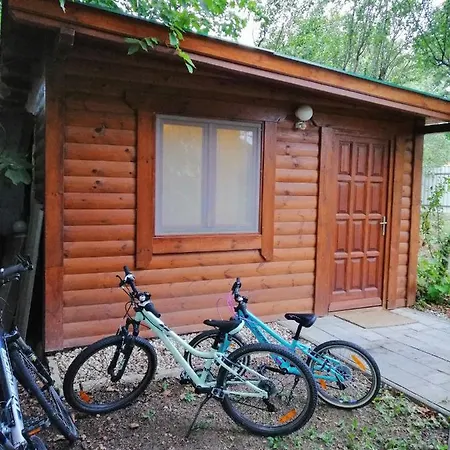 Szolosi Diofa Vendeghaz Homestay Balatonszolos