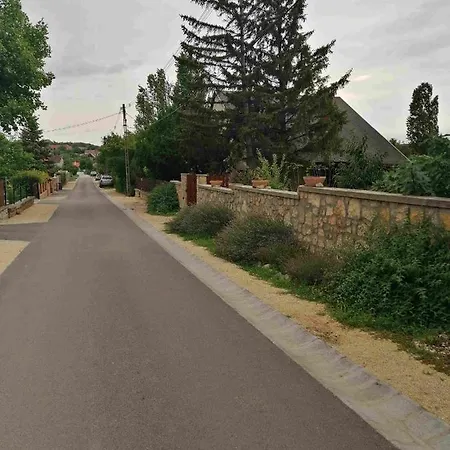 Szolosi Diofa Vendeghaz Homestay Balatonszolos