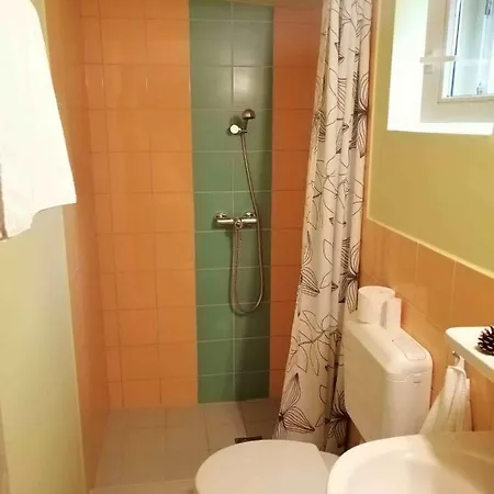 Szolosi Diofa Vendeghaz Balatonszolos