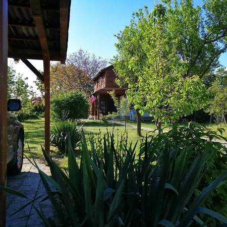 Szolosi Diofa Vendeghaz Balatonszőlős
